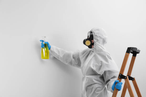 Best Water Damage & Mold Remediation  in USA